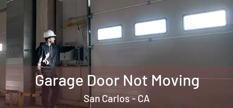  Garage Door Not Moving San Carlos - CA